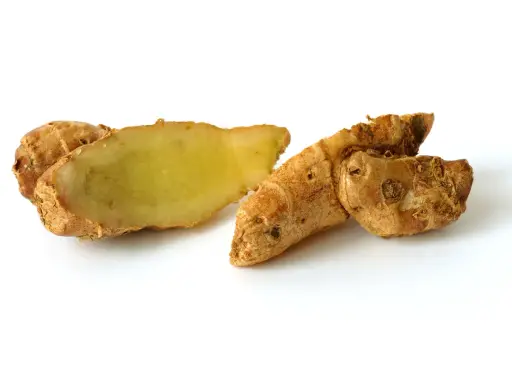 Racine de galanga coupée, révélant sa chair jaune pâle. Un ingrédient aux multiples galanga bienfaits pour la santé et la cuisine.