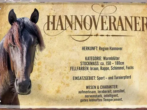 Ein brauner Hannoveraner mit detailliertem Steckbrief. Er ist ein Warmblüter, ideal für Sport und Turniere.