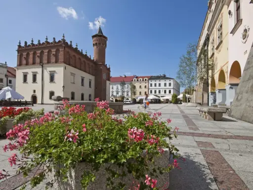 Tarnów co zwiedzić? Rynek z ratuszem i kwitnące pelargonie. Idealne miejsce na spacer i odkrywanie uroków miasta.