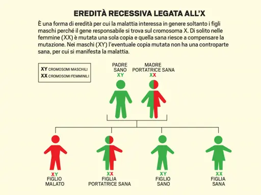 Albero genealogico che illustra le sindromi genetiche nei bambini, con un padre sano e una madre portatrice sana, mostrando la trasmissione del gene recessivo legato all'X.