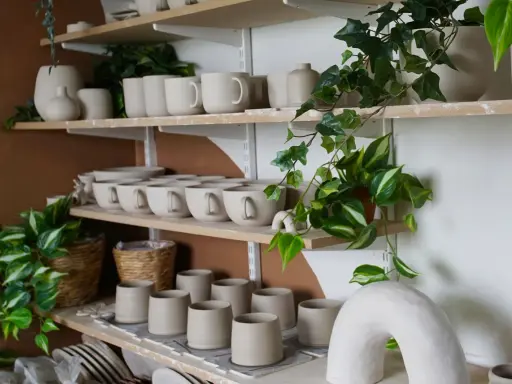 Hyllor fyllda med keramik i olika former och storlekar, som skapar en känsla av keramik hemma. Gröna växter slingrar sig bland krukor och skålar.