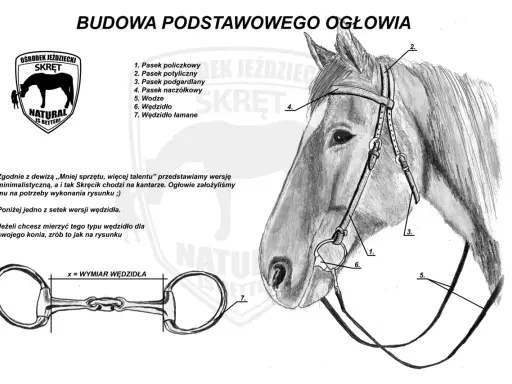 Ilustracja przedstawia budowę ogłowia konia z oznaczeniami poszczególnych elementów, takich jak paski i wędzidło.