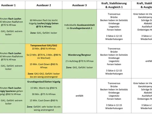 Trainingsplan mit Ausdauer- und Kraftübungen für drei Wochen. Fokus auf Kraftausdauer-Training mit Laufen, Radfahren und Stabilisierungsübungen.