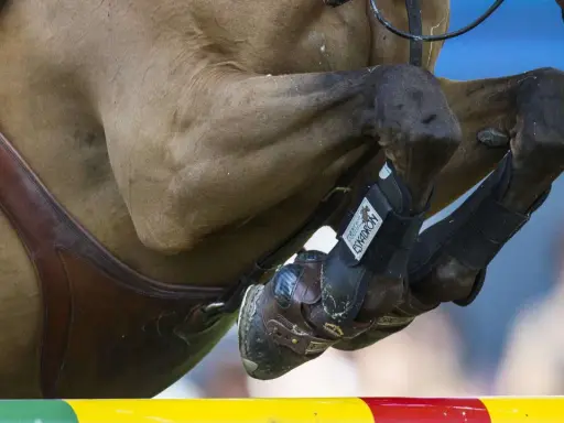 Ein Pferd im Sprung, die Beine elegant angewinkelt. Die Hufe sind mit braunen Hufschuhen und schwarzen Gamaschen geschützt. Ein Reiter sitzt auf dem braunen Pferd.
