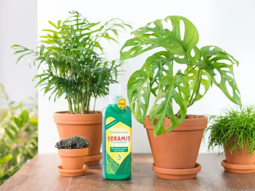 Kilka roślin doniczkowych, w tym monstera i palma, obok butelki nawozu Seramis.