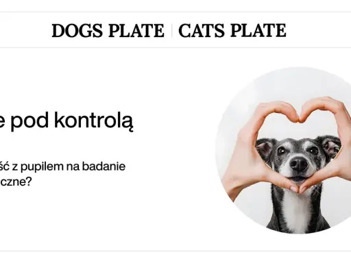Pies z sercem uformowanym dłońmi. Kiedy pies ma serce pod kontrolą i potrzebuje badania kardiologicznego?