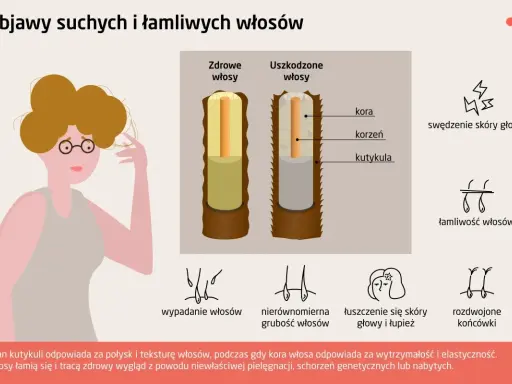 Ilustracja pokazuje porównanie zdrowych i uszkodzonych włosów, podkreślając łamliwość włosów i inne problemy.