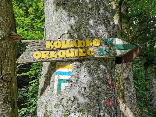 Drewniany drogowskaz "Kowadło 3½, Orłowiec 8½" na drzewie w lesie. Obok znak szlaku turystycznego.