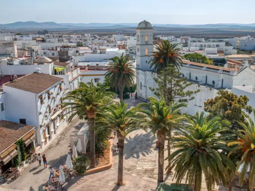 Vista aérea de Conil de la Frontera, con palmeras y edificios blancos. Ideal para saber qué ver en Conil.