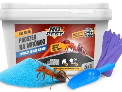 Mrówki w ogrodzie: wróg czy sprzymierzeniec? Skuteczne metody walki