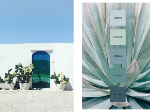 Puerta azul vibrante y cactus frente a pared blanca, junto a una paleta de colores que muestra el color complementario del verde en tonos azulados y verdosos.