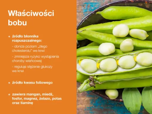 Bób, bogaty w błonnik, reguluje poziom cholesterolu i glukozy we krwi, zmniejszając ryzyko chorób serca. Czy bób jest kaloryczny? Jest zdrowy i pełen witamin.