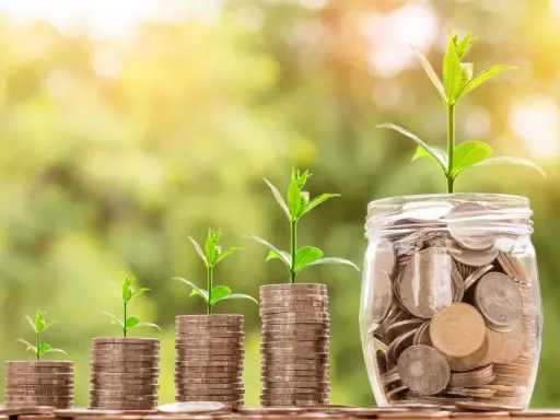 Plantas verdes crecen sobre pilas de monedas y un frasco lleno de ellas, simbolizando el crecimiento de las finanzas.