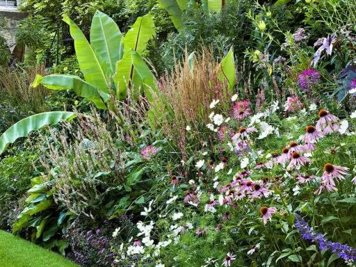 Un magnifique modele jardin exotique avec de grandes feuilles vertes, des fleurs roses et blanches, et des graminées.
