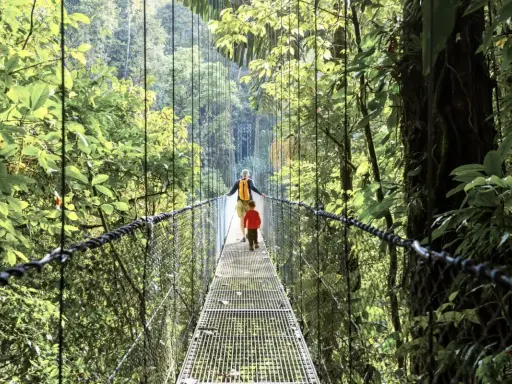 Un adulto y un niño caminan por un puente colgante en la exuberante selva de Costa Rica con niños, disfrutando de la aventura.