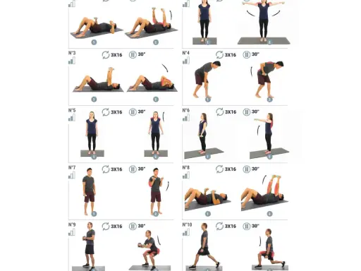 Guide d'exercices avec haltères à la maison : mouvements au sol, debout et fentes pour un entraînement complet.