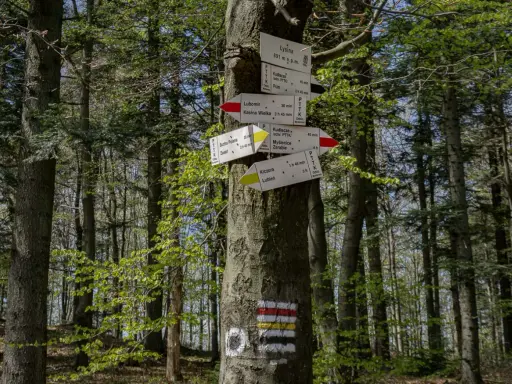 Leśny drogowskaz na trasie lubomir. Wskazuje kierunki do Kudłaczy, Kasiny Wielkiej, Myślenic i innych.