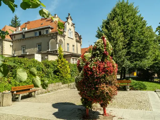 Kwiatowa rzeźba pawia wita gości w Dusznikach Zdroju. W tle zabytkowa willa i bujna zieleń.