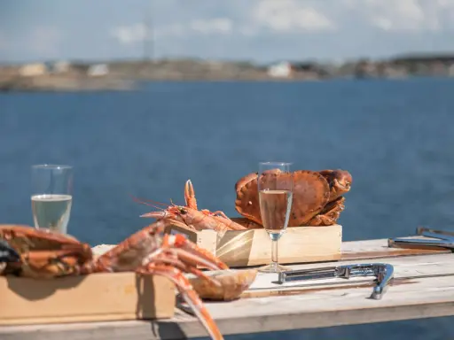 Skaldjur och bubbel vid havet, en perfekt aktivitet i Göteborg.