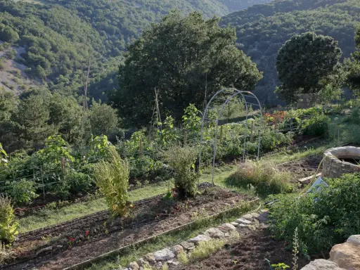 Un potager en pente raide, avec des rangées de légumes et une arche métallique, s'étend sur un flanc de colline verdoyant.