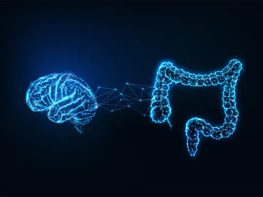 Rappresentazione stilizzata del cervello e dell'intestino collegati da una rete luminosa, che illustra l'asse intestino cervello.