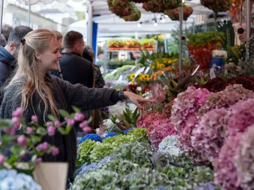 Une jeune femme admire la taille des hortensias Vanille Fraise sur un marché aux fleurs.