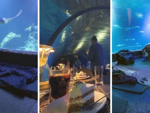 Afrykarium Wrocław: Gdzie spać? Najlepsze noclegi blisko ZOO