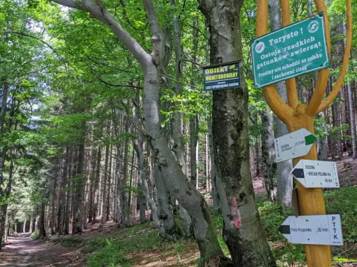 Leśna ścieżka prowadzi do Hali Krupowej. Znaki wskazują trasę i informują o ostoi zwierząt.