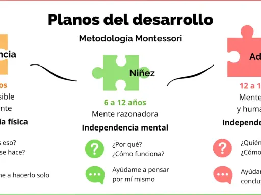 La educación Montessori en qué consiste: planos del desarrollo por etapas (infancia, niñez, adolescencia) con sus características y enfoques.