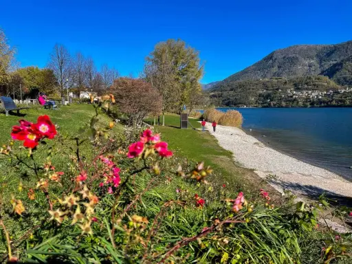 Fiori rossi in primo piano, poi un prato verde con persone sedute su una panchina e due che passeggiano lungo il lago di Caldonazzo.