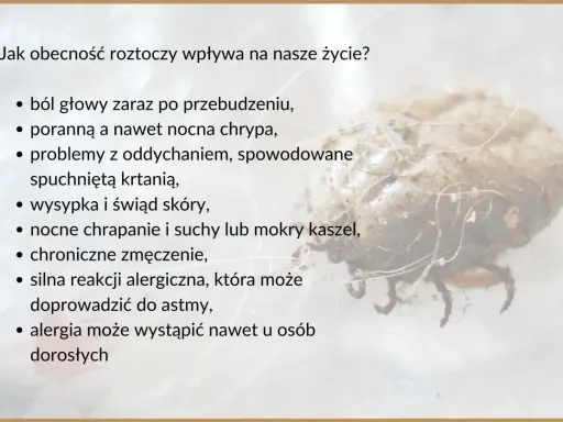 Roztocza, niewidoczny kurz, wywołują alergie, bóle głowy, problemy z oddychaniem i kaszel.