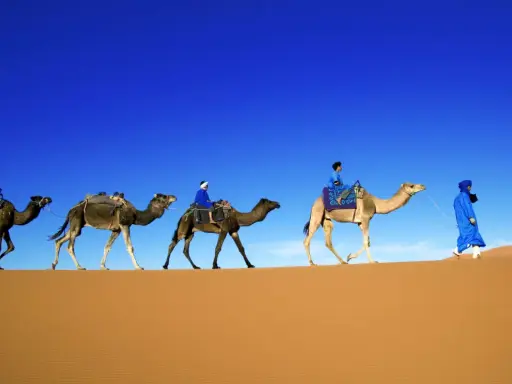 Ein Berberstamm in der Sahara durchquert die Dünen. Kamele mit Reitern und Gepäck ziehen unter blauem Himmel.