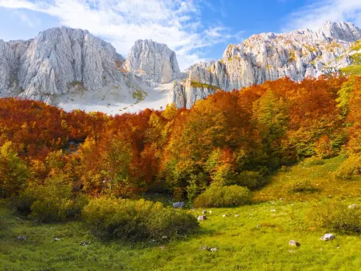 Un bosco incantato di **mozzafiato paesaggi autunnali italiani**, con montagne imponenti sullo sfondo e un tappeto erboso verde brillante.