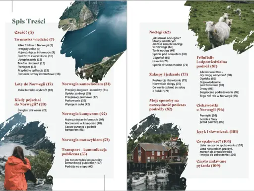 Spis treści: co warto zobaczyć w Norwegii, od lotów po noclegi i transport. Zdjęcia owiec i fiordów.