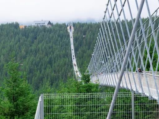 Most na Dolní Moravě, widok z góry. Sprawdź cennik i wybierz się na spacer po tej niesamowitej konstrukcji.