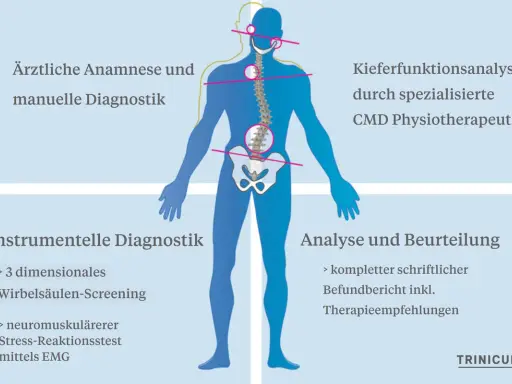 Schema zur Diagnose von Haltungsschäden, die auch den Kiefer betreffen können. Ein Bandscheibenvorfall im Kieferbereich wird hier mit anderen Diagnostiken verglichen.
