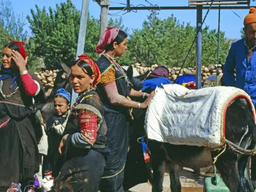 Berber Marokko Frauen mit Eseln, beladen mit Säcken. Ein Mann in blauer Jacke steht daneben.