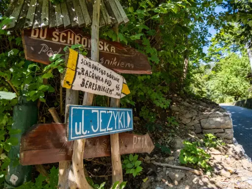 Drewniane drogowskazy turystyczne w lesie, wskazujące kierunek do schroniska i ulicy.