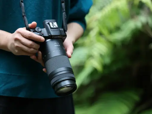 Canon 75-300mm: Do czego służy? Poradnik dla początkujących