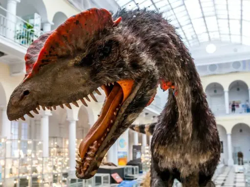 Model dinozaura w muzeum, gdzie można znaleźć darmowe muzea Warszawa. Wspaniała ekspozycja dla całej rodziny.
