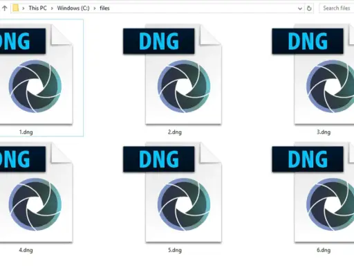 Sei file DNG, ciascuno con un'icona a forma di diaframma, sono visualizzati in una cartella di Windows.