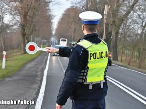 Policjant kieruje ruchem. Pamiętaj, że 250 ml wódki to ile promili, zanim wsiądziesz za kółko.
