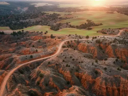 Un camino serpentea por la rambla de Barrachina, un paisaje ocre y verde bañado por el sol del atardecer.