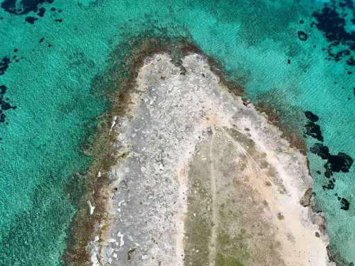 Scogliere rocciose e acque cristalline vicino a Gallipoli città.
