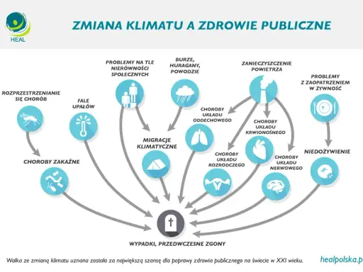 Walka o klimat: Co musisz wiedzieć o gazach cieplarnianych?