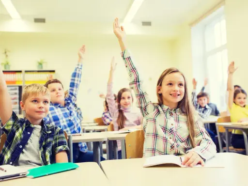 Engagierte Schüler im Unterricht heben eifrig die Hände.