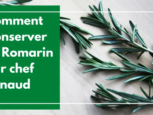 Comment conserver le romarin : des brins frais sur fond de bois, avec des conseils du chef Arnaud.