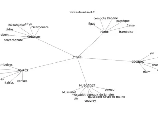 Carte mentale des synonymes et associations du mot CIDRE : poire, vinaigre, fruits, cognac, muscadet.