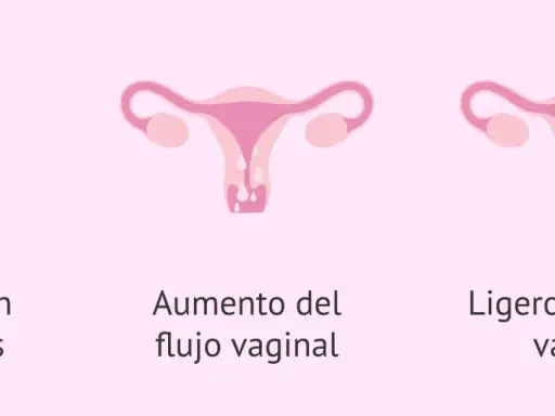 Cambios en pechos, aumento de flujo vaginal y ligero sangrado vaginal. Posible retraso menstrual.