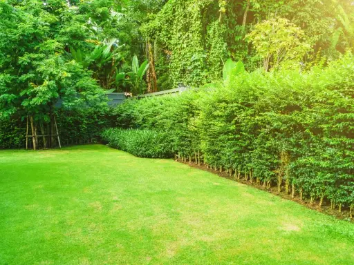 Ein gepflegter Garten im Juni, bereit für das **hecke schneiden**. Der Rasen ist frisch gemäht, die Büsche üppig grün.